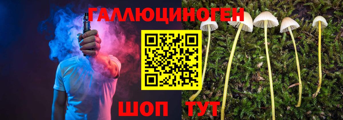 Уссурийск  Псилоцибиновые грибы ЛСД  Псилоцибиновые грибы прущие грибы  Вход с VPN 